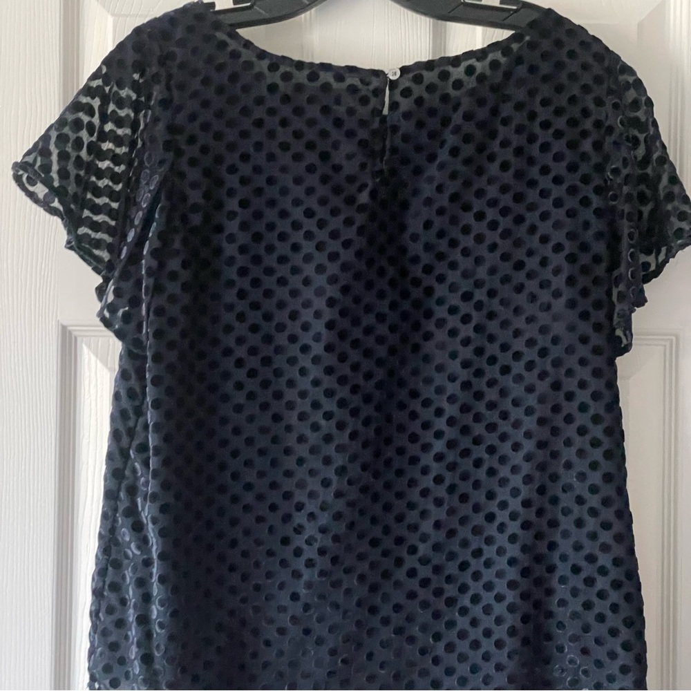 Loft Navy Top - Picture 5 of 6